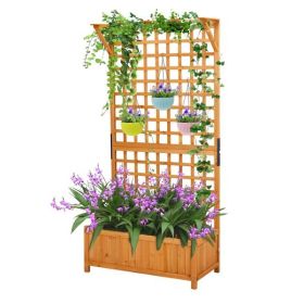 Garden Bed with Trellis, 72 Inch Height Metal Planter Box with Trellis