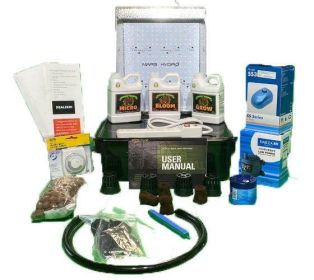 4 Plant Hydroponics Kit (Option: as picture)